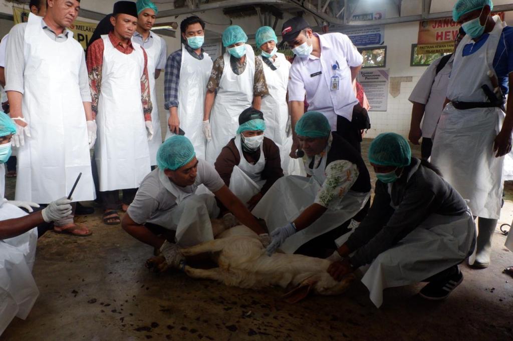 Jelang Idul Adha, Banyuwangi Siapkan Ratusan Juru Sembelih Halal Hewan Kurban